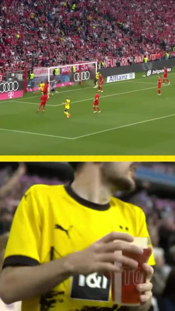 勇者無懼！這是真多特球迷！在拜仁球迷區(qū)一個人肆意慶祝！